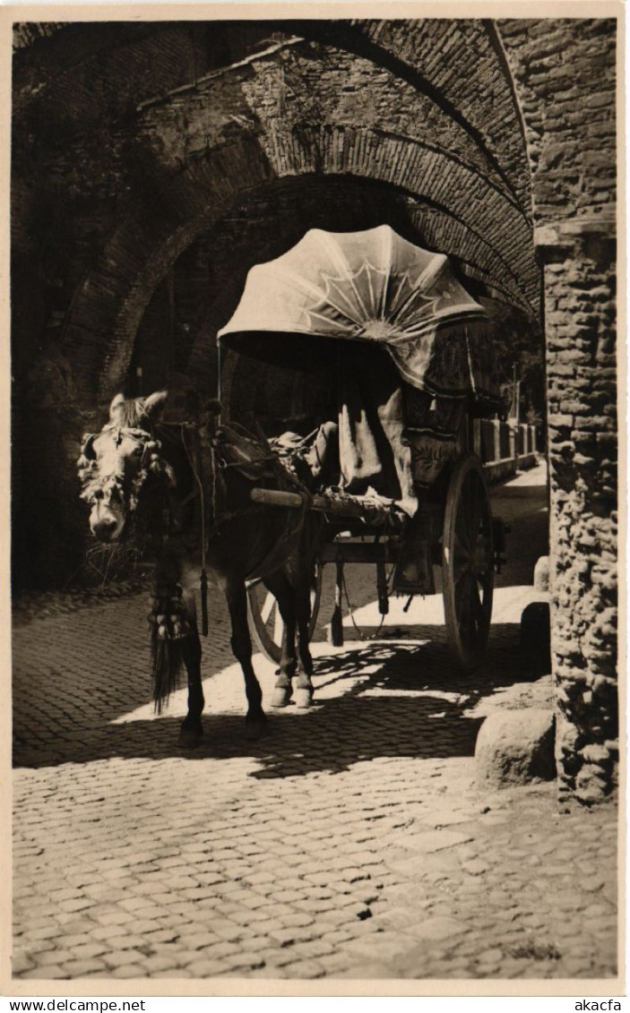 CPA ROMA Carro a vino ITALY (551576)