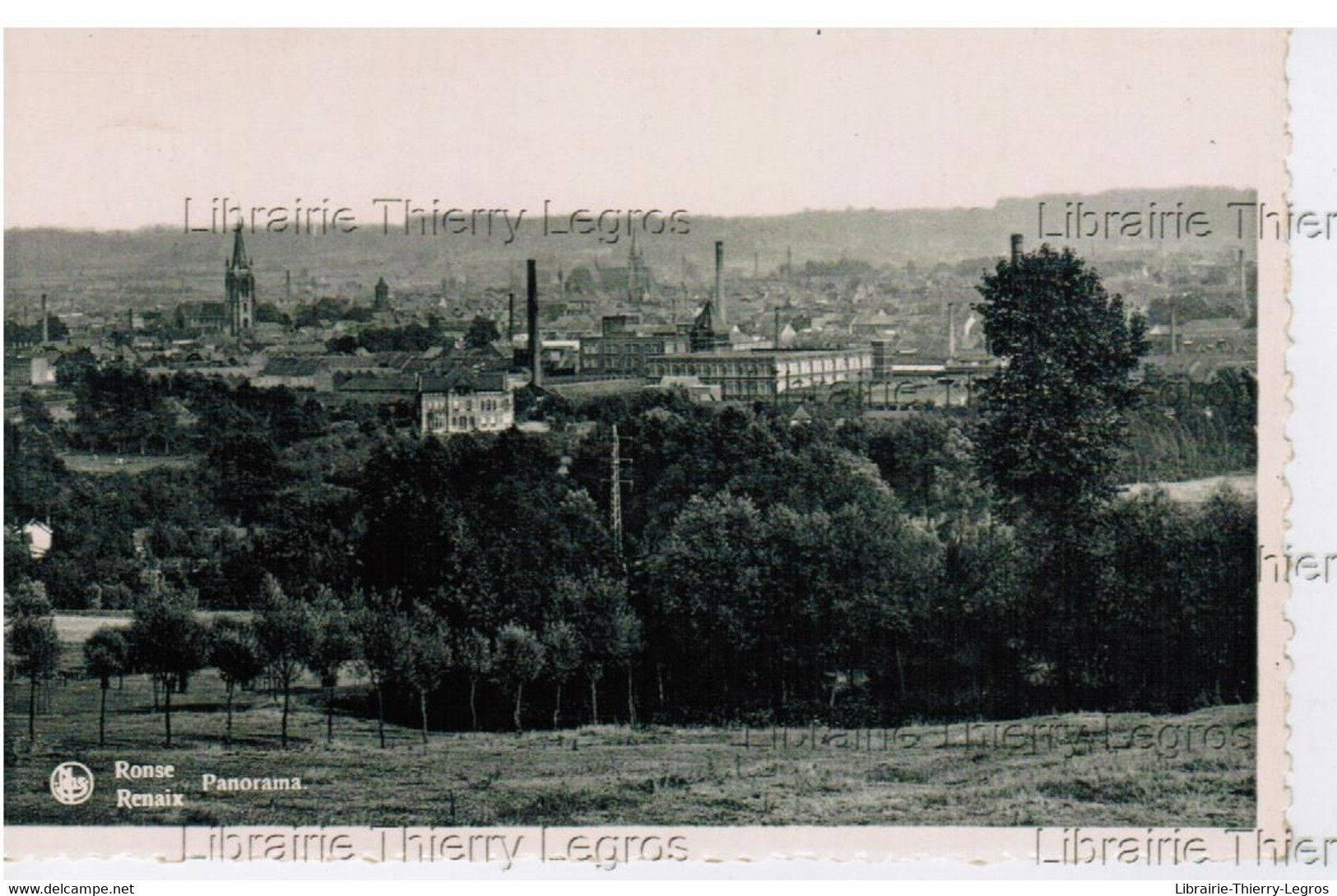 CPA Ronse - Renaix  Panorama