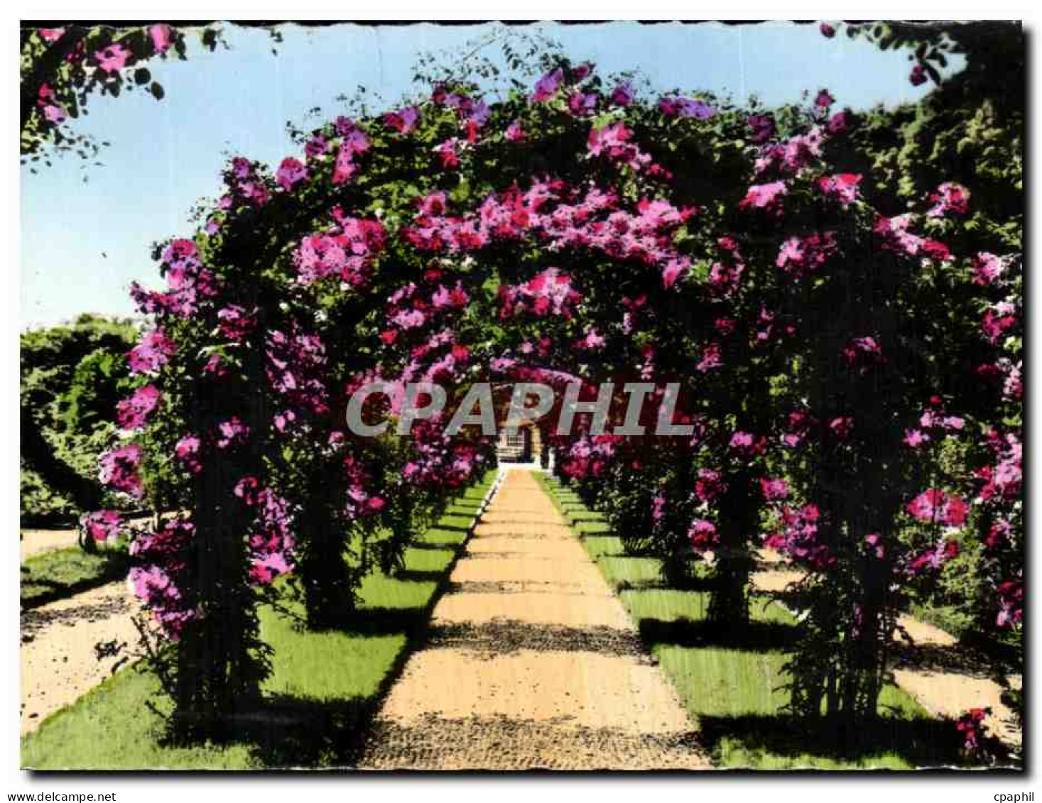 CPA Rosaire De L'Hay Les Roses Une allee