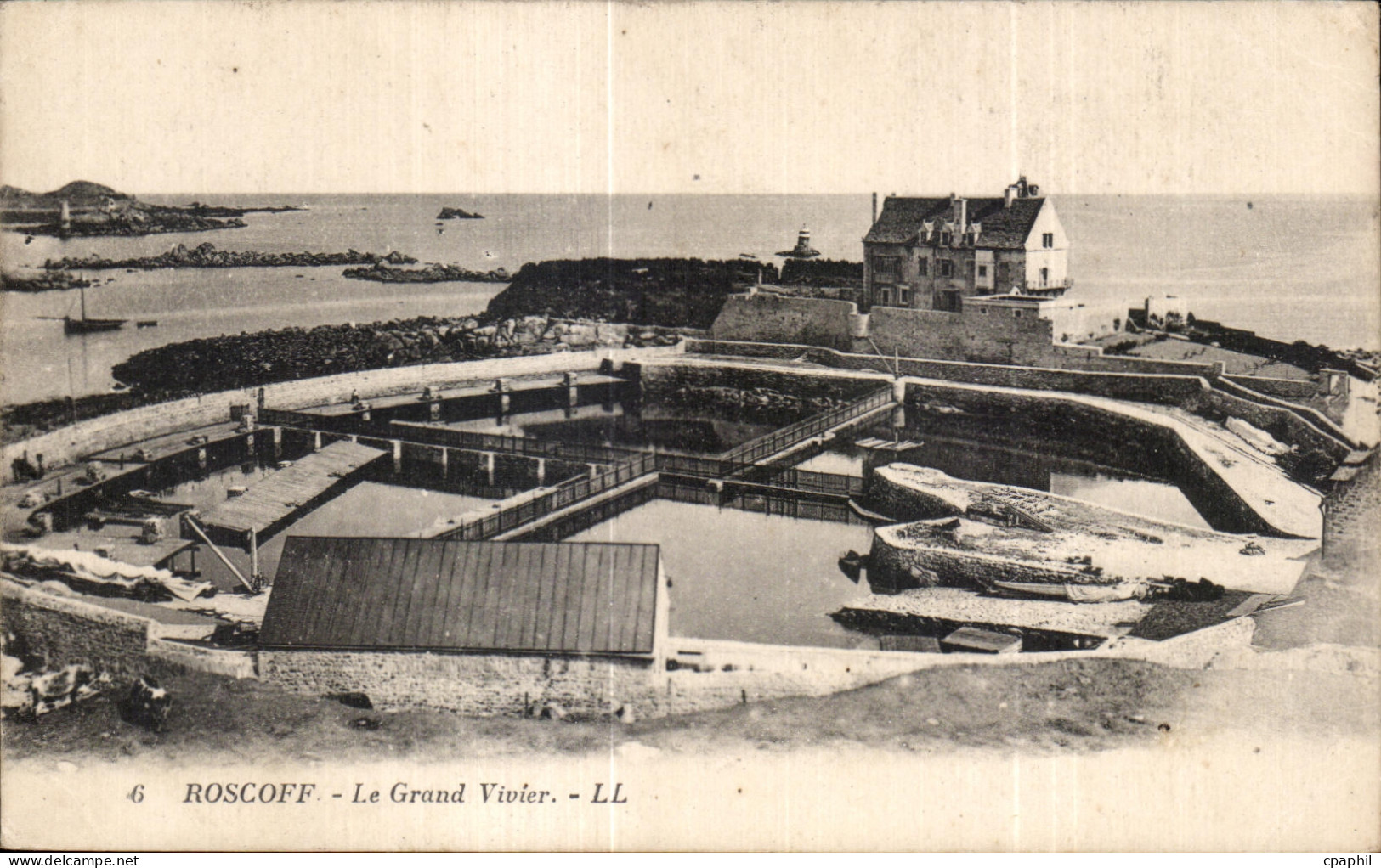 CPA Roscoff Le Grand Vivier