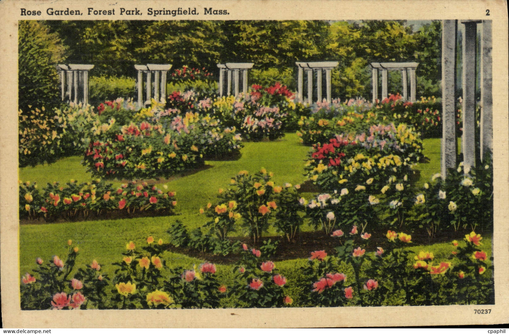 CPA Rose Graden Forest Park Springfield Mass
