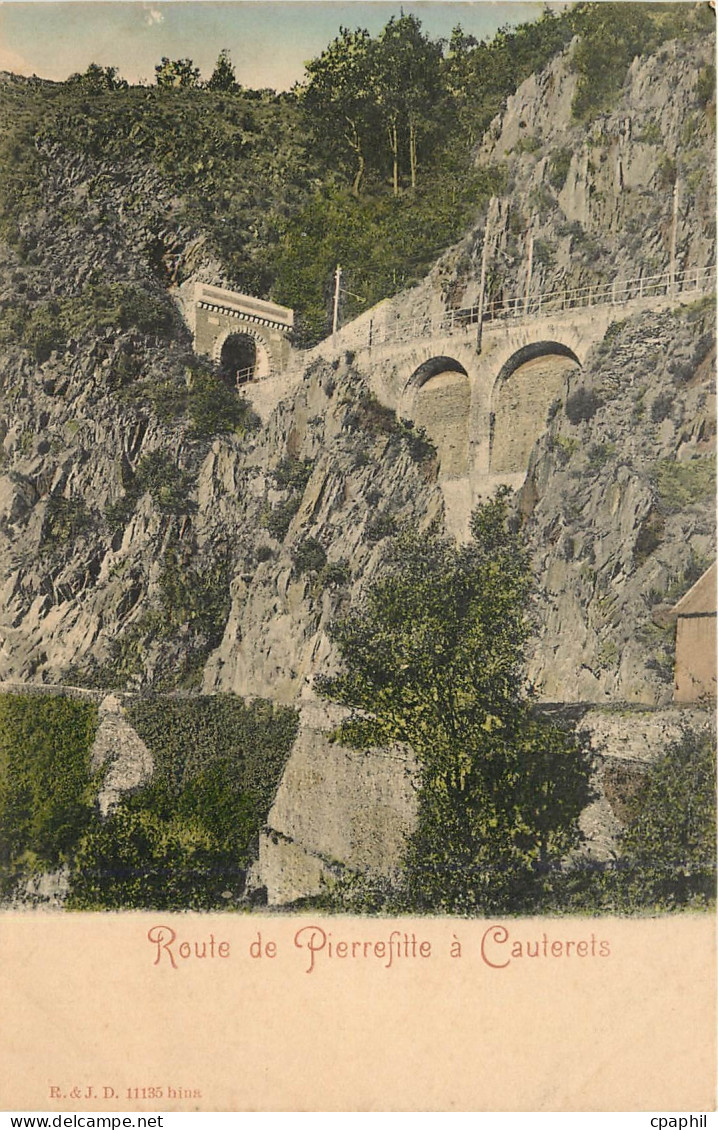 CPA Route de Pierrefitte a Cauterets