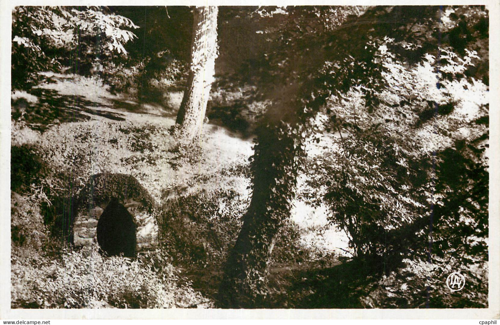 CPA Saint Cast Bois de la Vieuxville un coin romantique