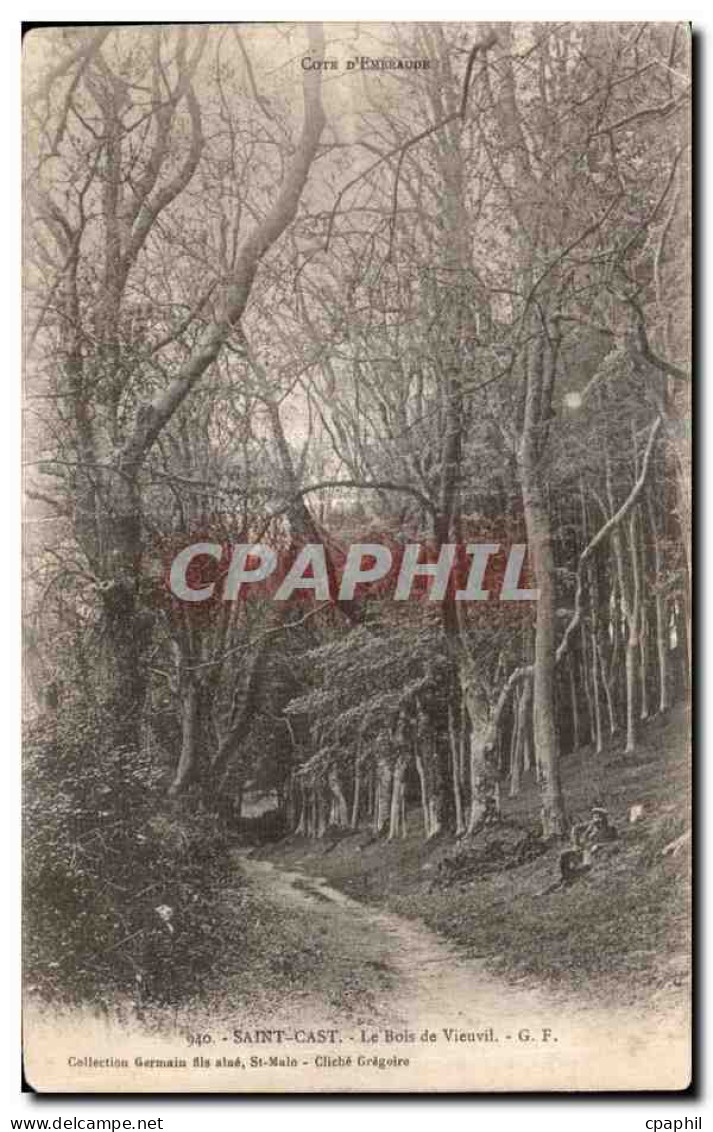 CPA Saint Cast Le Bois de Vieuvil
