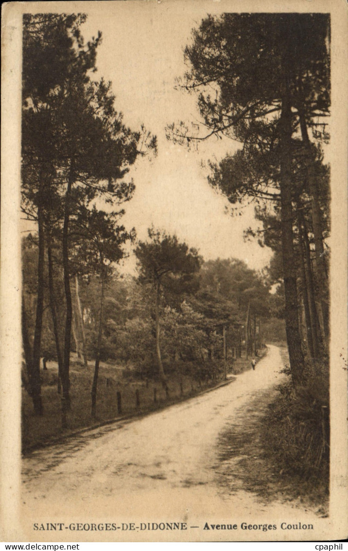 CPA Saint Georges de Didonne Avenue Georges Coulon