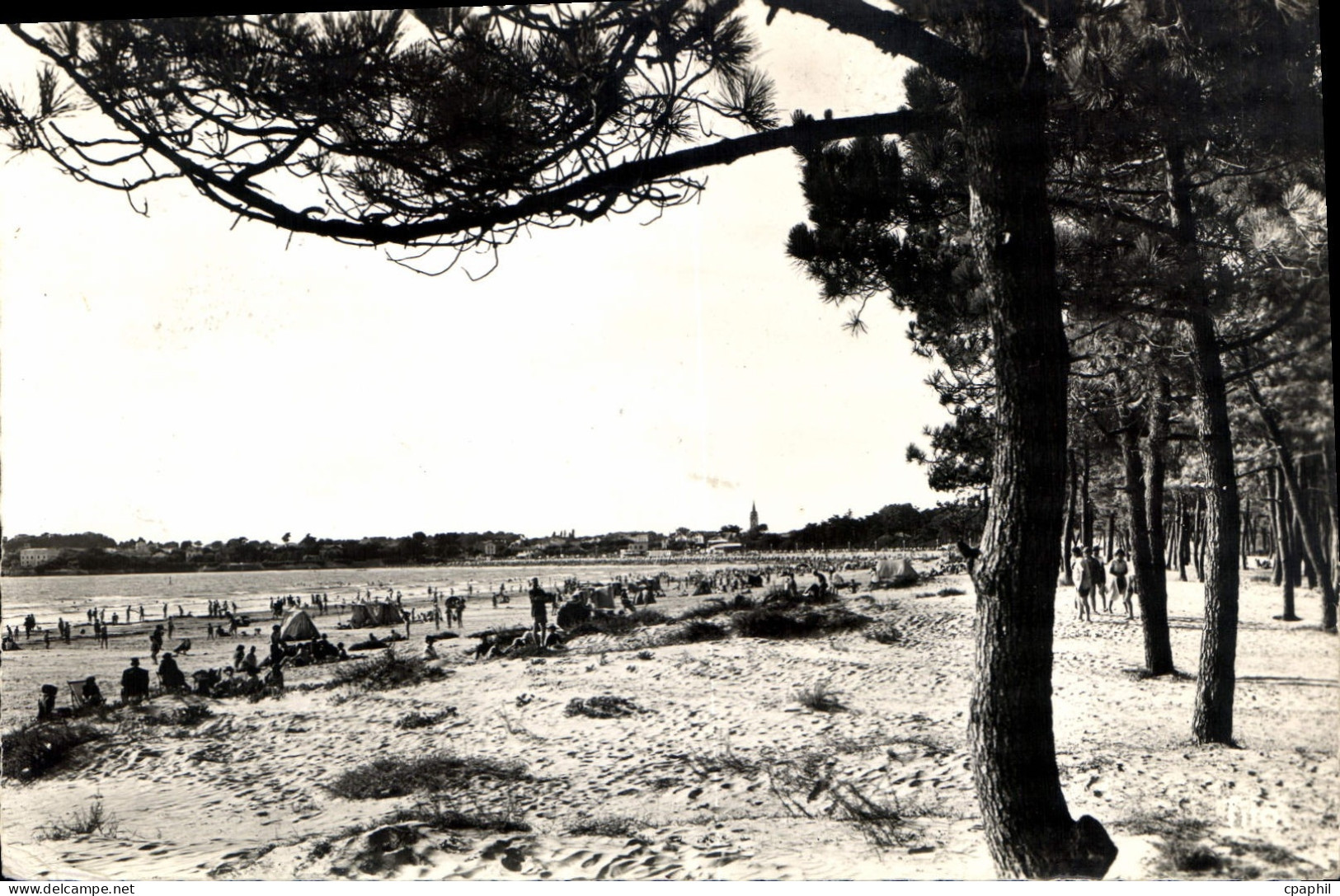 CPA Saint Georges de Didonne La Plage