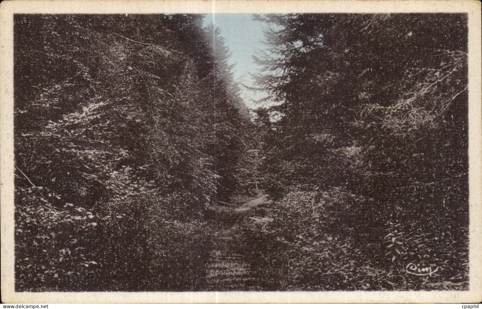 CPA Saint Germain L Herm Aspect de la foret
