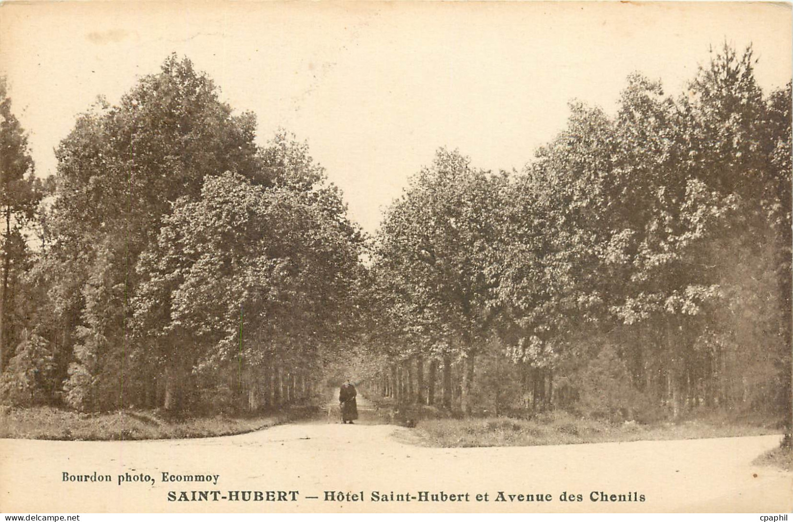 CPA Saint Hubert Hotel Saint Hubert et Avenue des Chenils