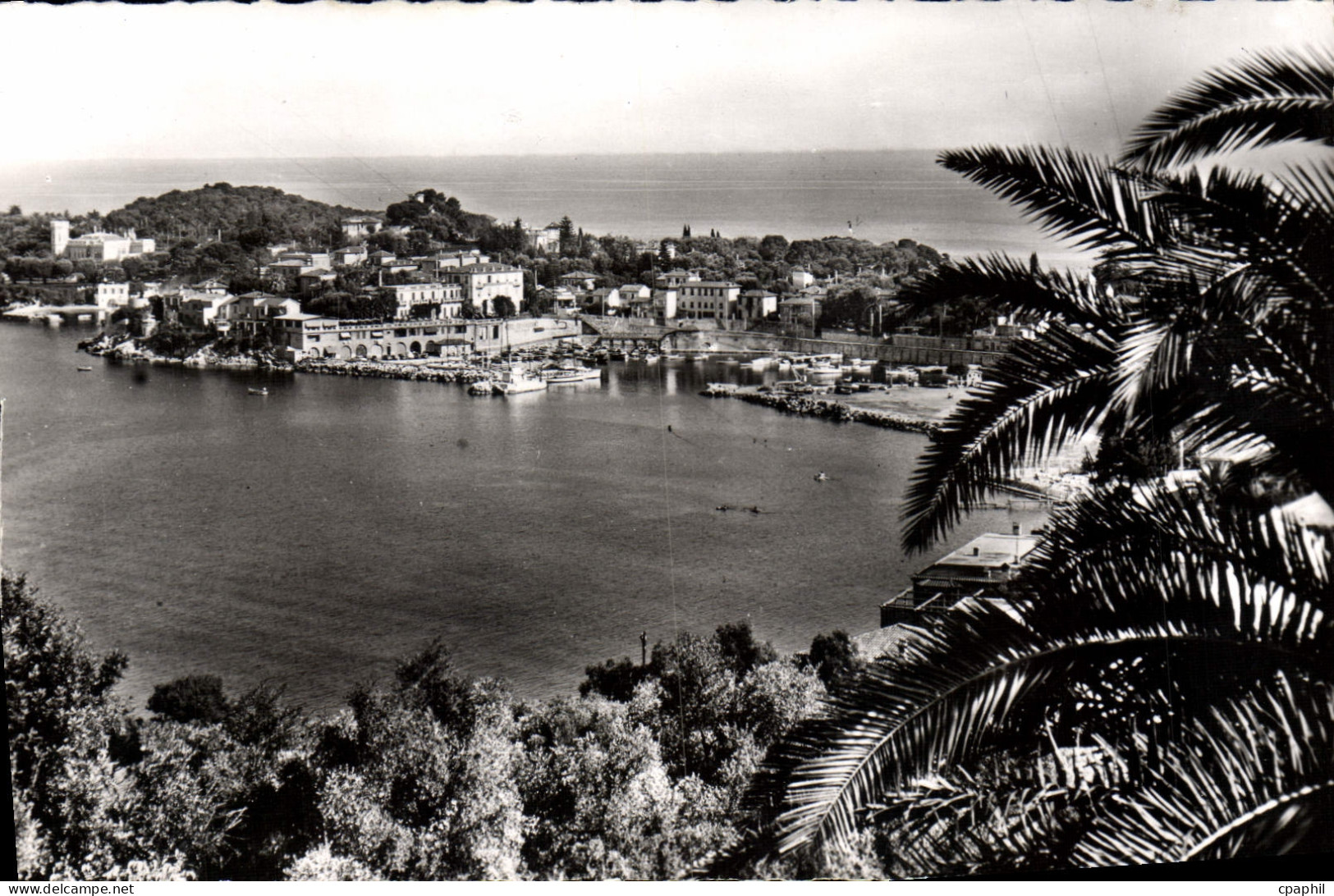 CPA SAINT-JEAN-CAP-FERRAT le port
