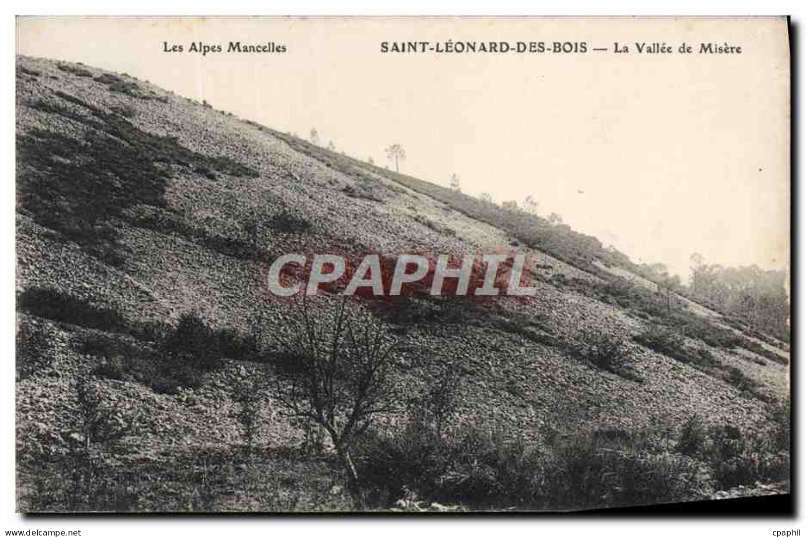 CPA Saint Leonard Des Bois La Vallee de Misere