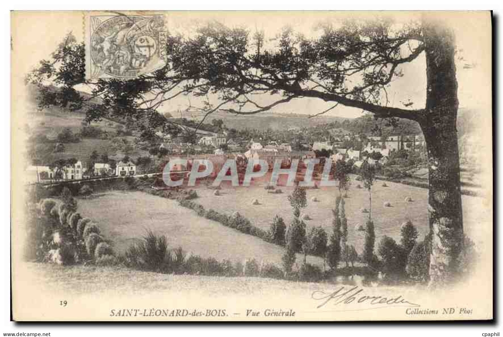 CPA Saint Leonard des Bois Vue Generale