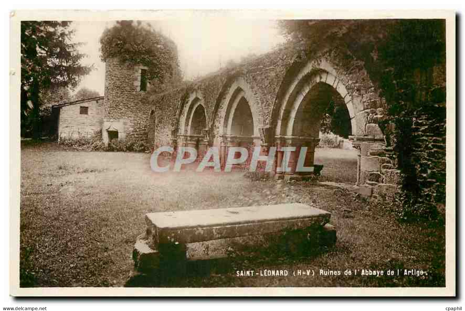 CPA Saint Leonard H Y Ruines de l'Abbaye de l'Artige