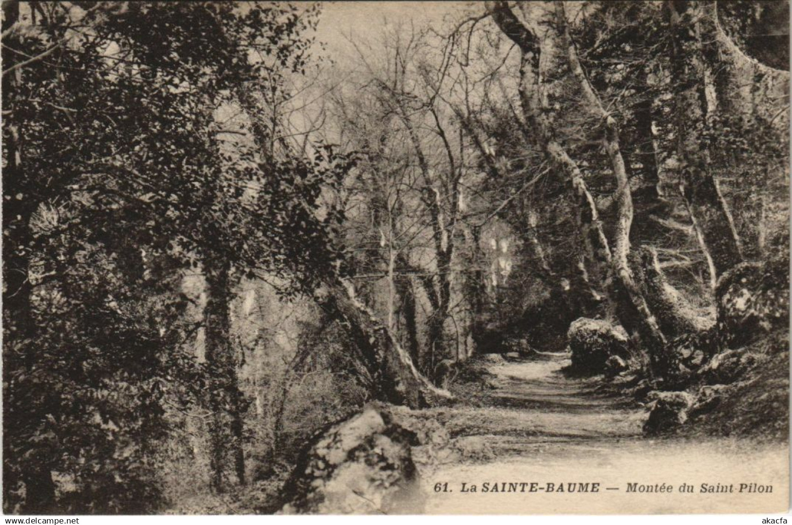 CPA SAINT-MAXIMIN-la-SAINTE-BAUME Montee du Saint-Pilon (1110269)