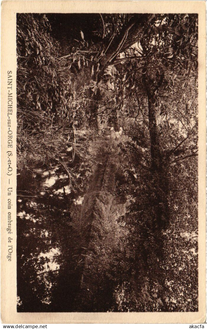 CPA SAINT-MICHEL-sur-ORGE Un Coin Ombrage de l'Orge (1354779)