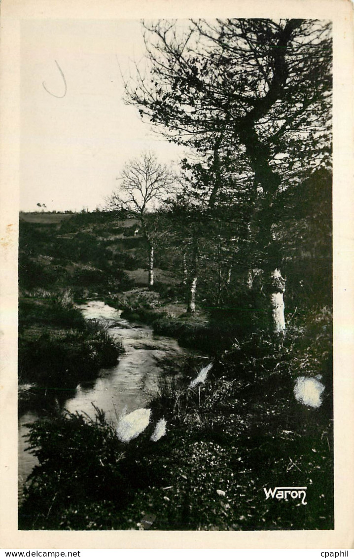 CPA Saint Nicolas du Pelem La Riviere du Feodal entre Saint Nicolas du Pelem et Lanrivain