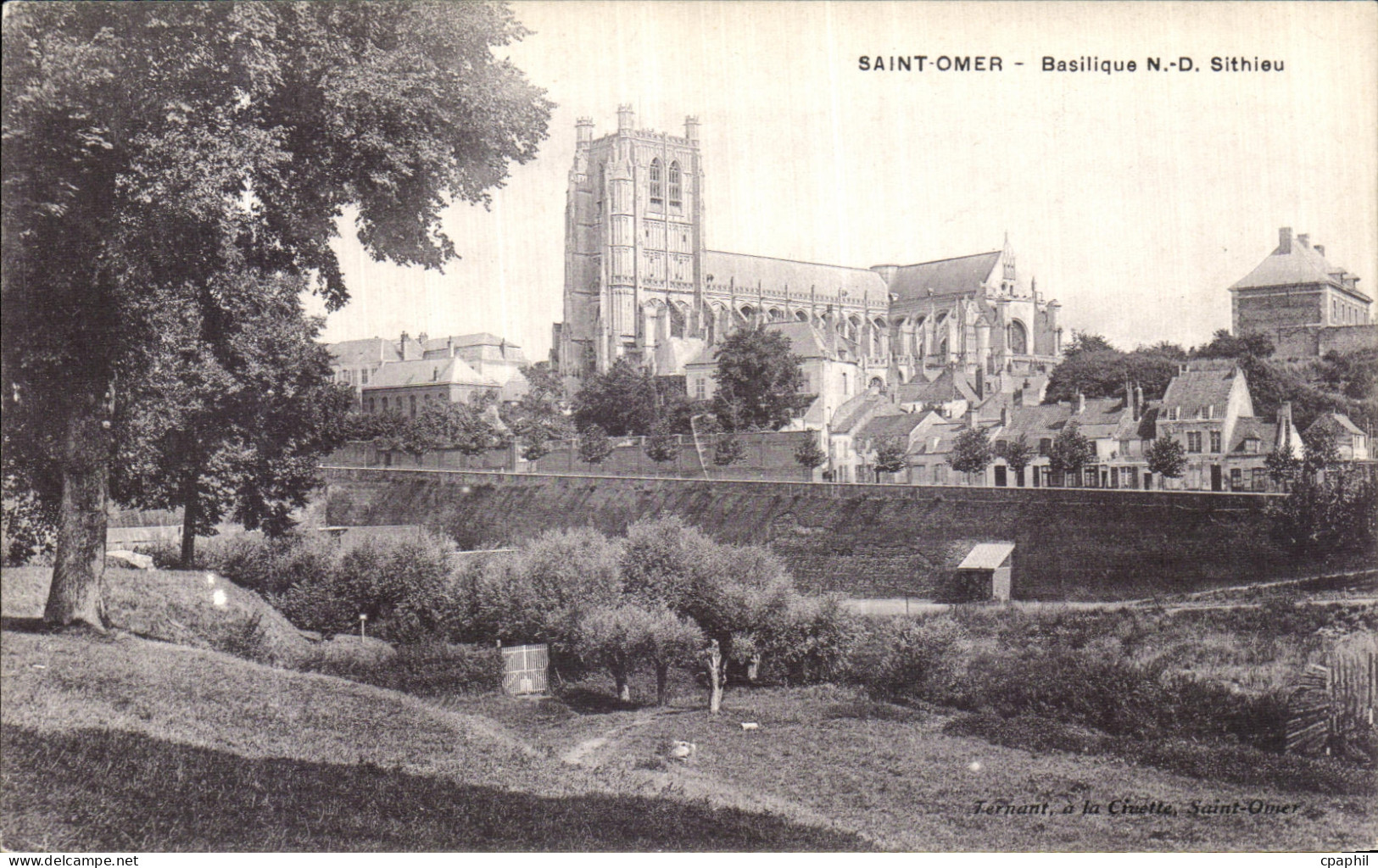 CPA Saint Omer Basilique ND Sithieu