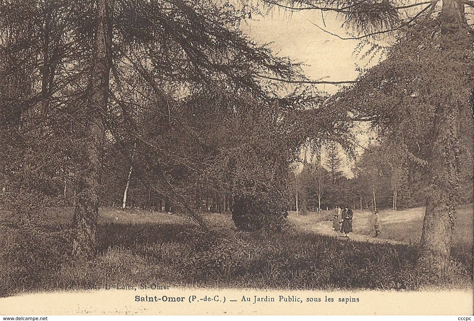 CPA Saint-Omer Jardin Public sous les Sapins