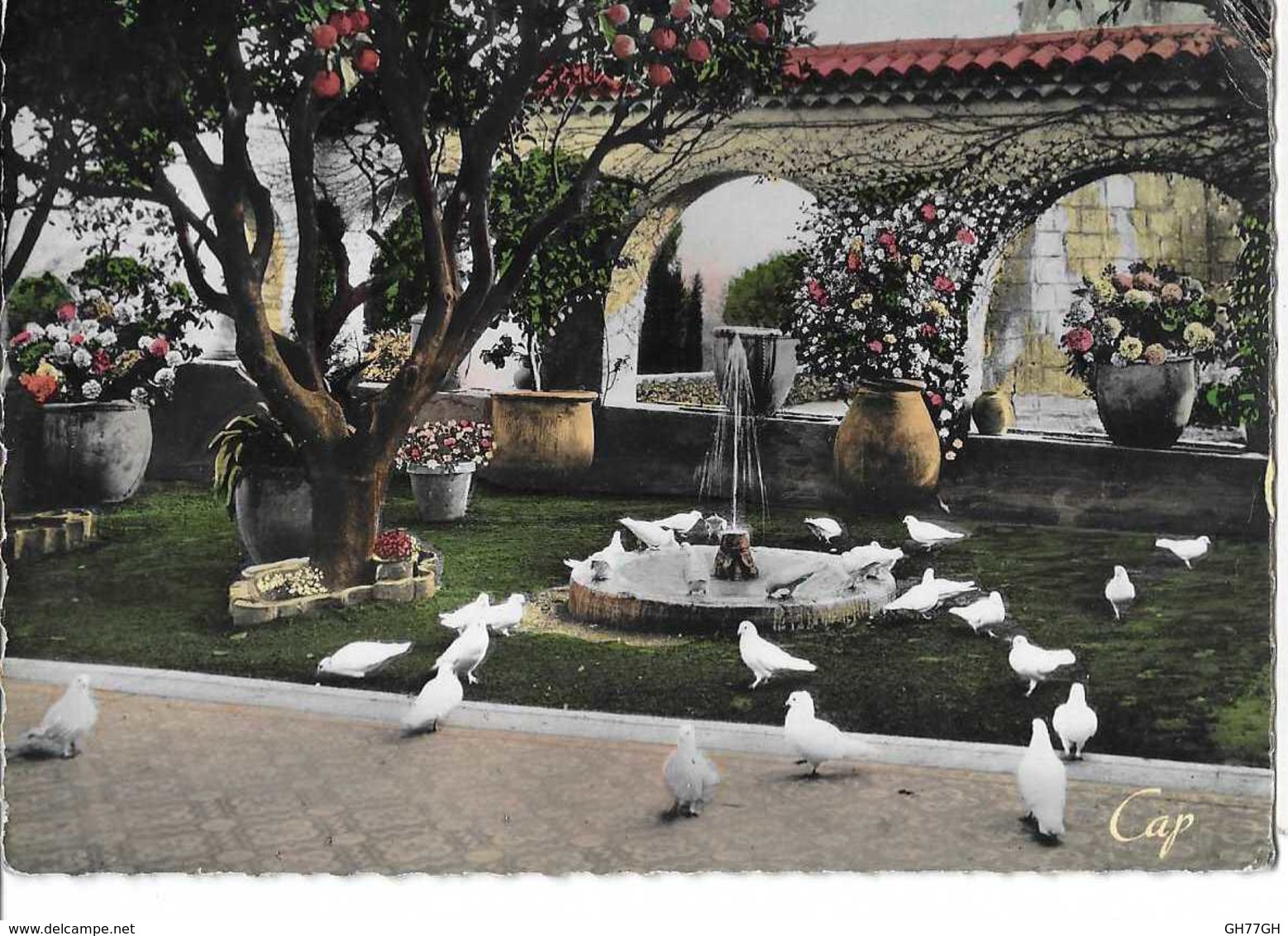 CPA SAINT-PAUL-DE-VENCE -jardin provençal -colombe d'or