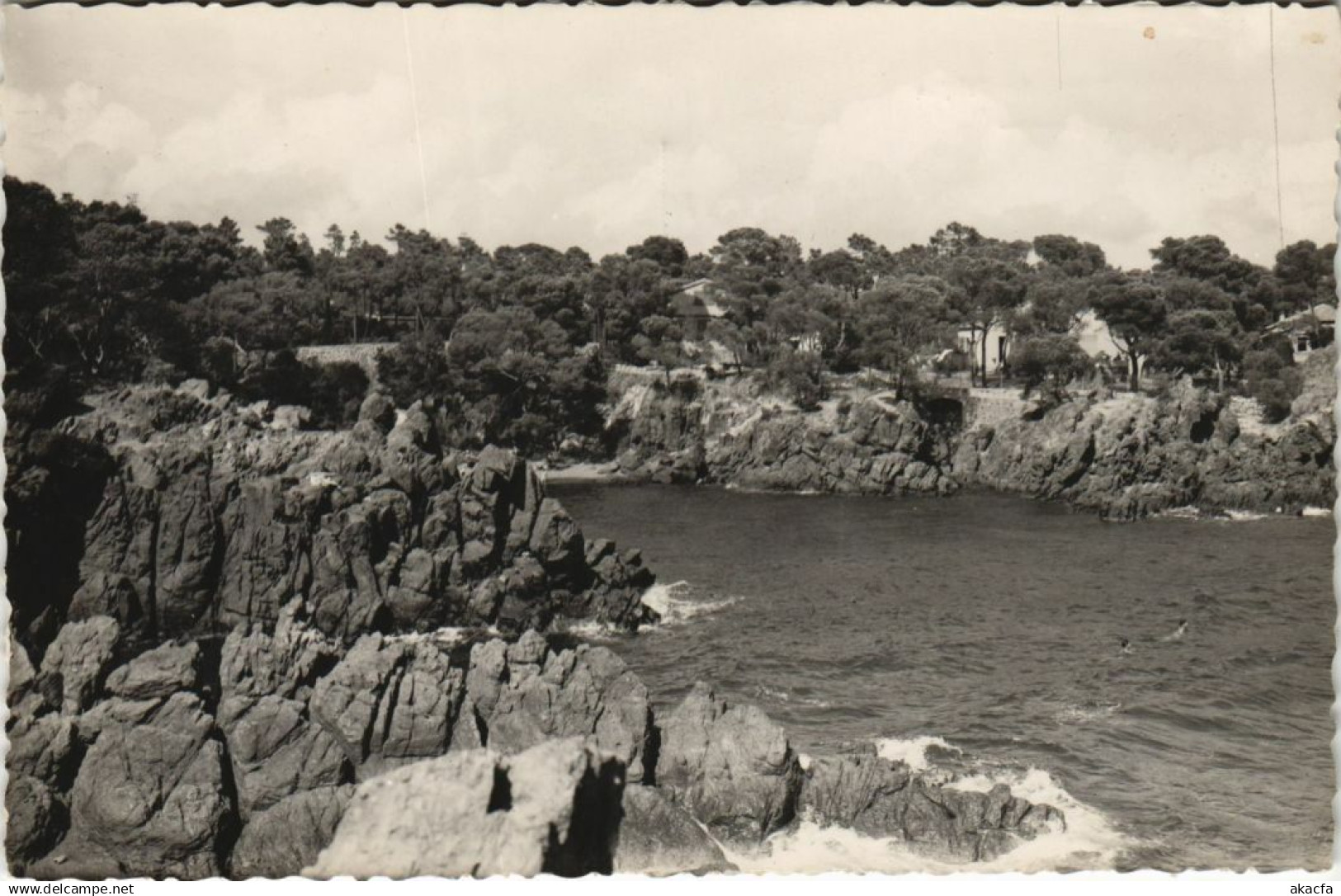 CPA SAINT-RAPHAEL Santa-Lucia - Sa Crique (1112900)