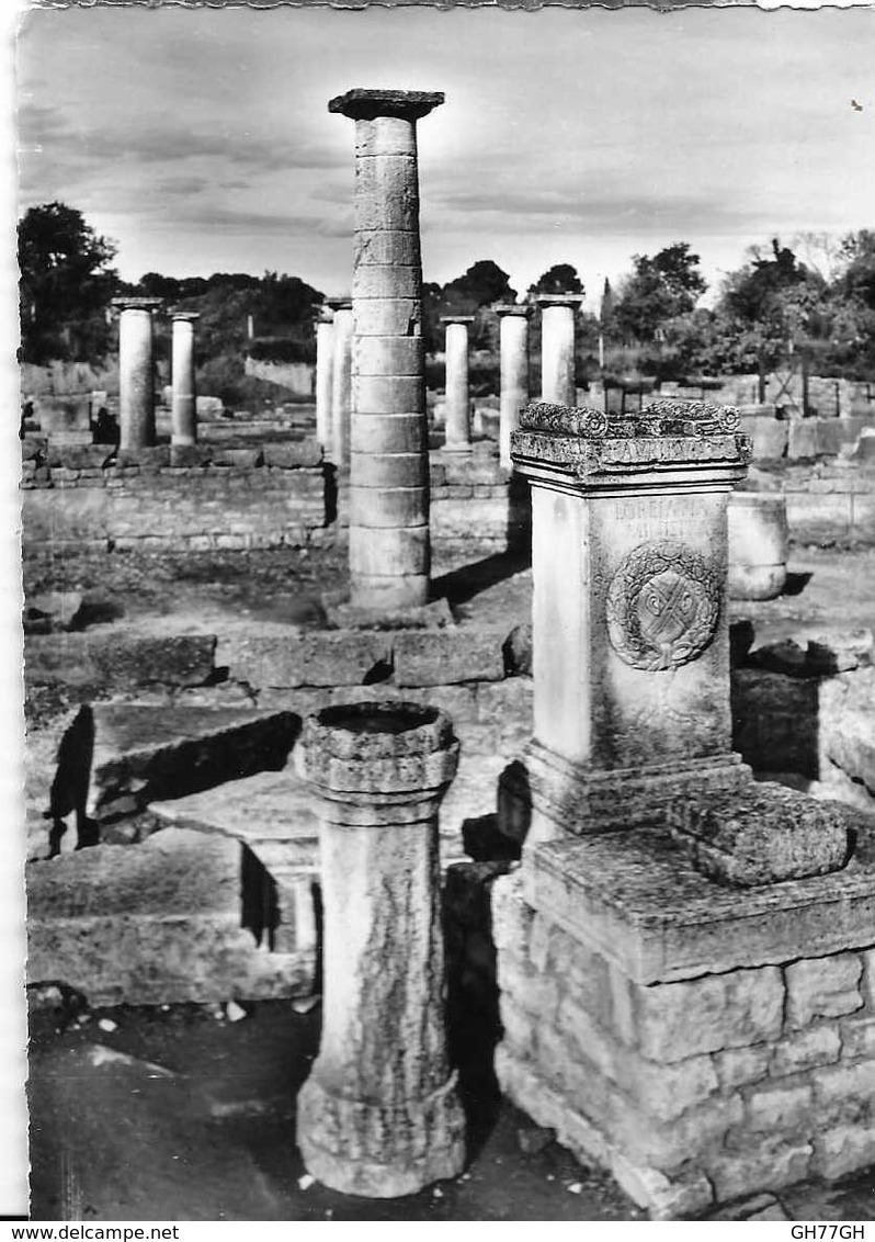 CPA SAINT-REMY-DE-PROVENCE