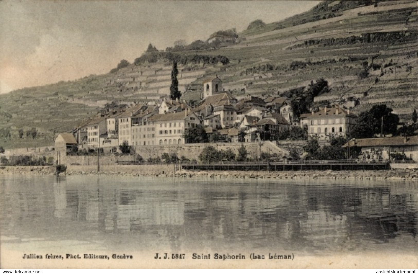 CPA Saint Saphorin Lavaux Kanton Waadt, Saint Saphorin am Genfersee, Wasser, Häuser, Weinberge