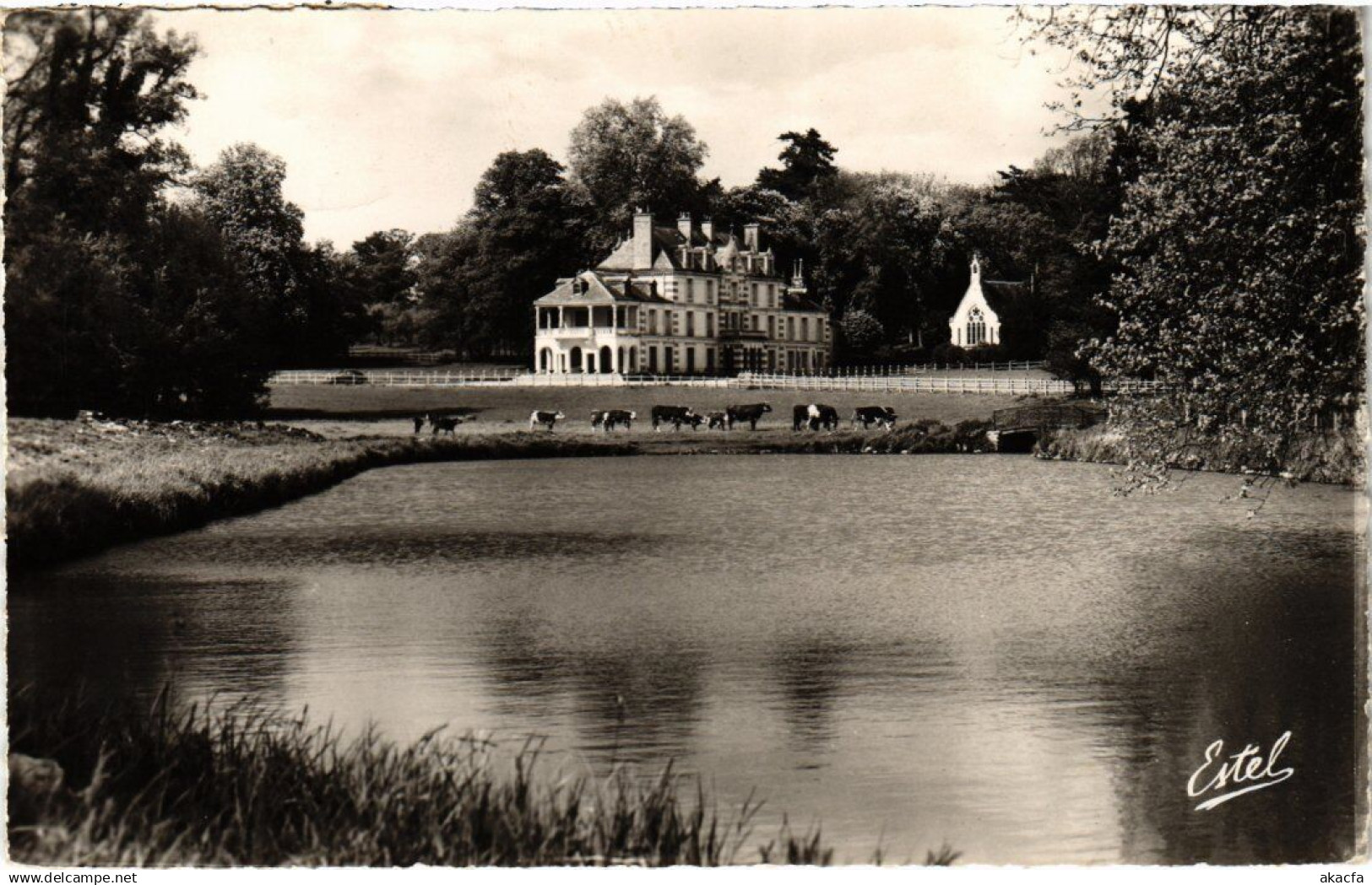 CPA SAINT-VRAIN Chateau de Billy (1354782)