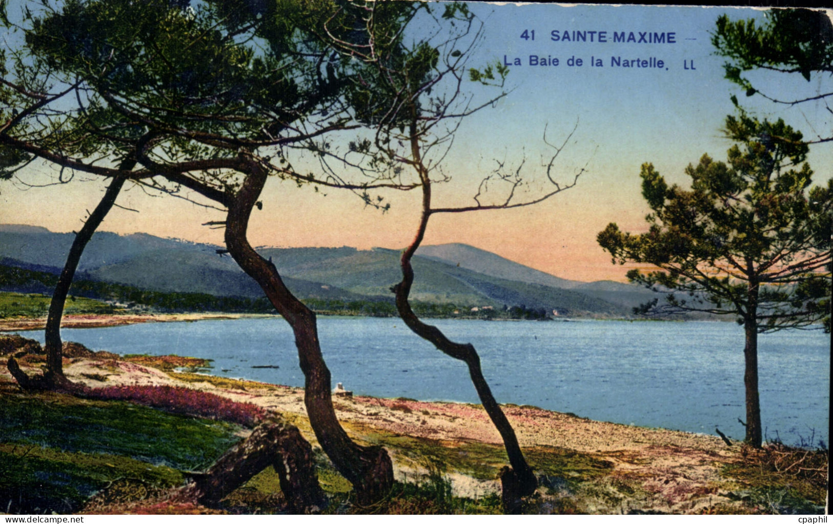 CPA Sainte Maxime La Baie de la Nartelle