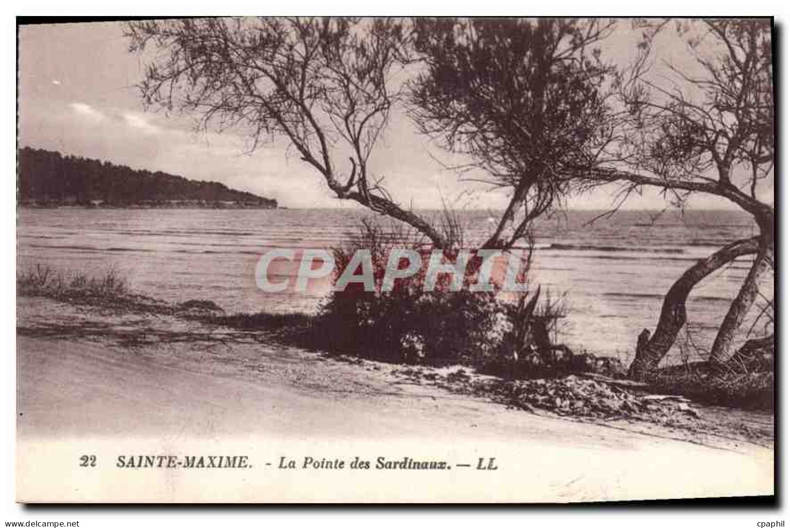 CPA Sainte Maxime La Pointe des Sardinaux