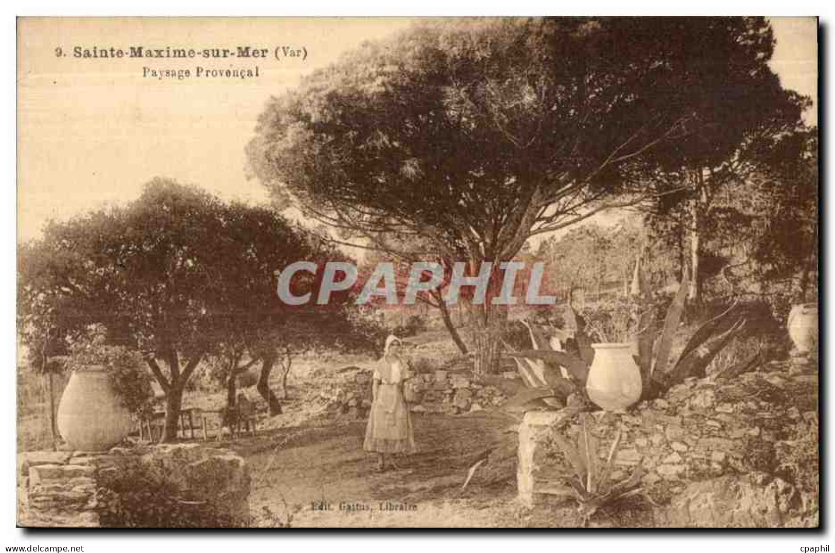 CPA Sainte Maxime sur Mer (Var) Payssage Provencal