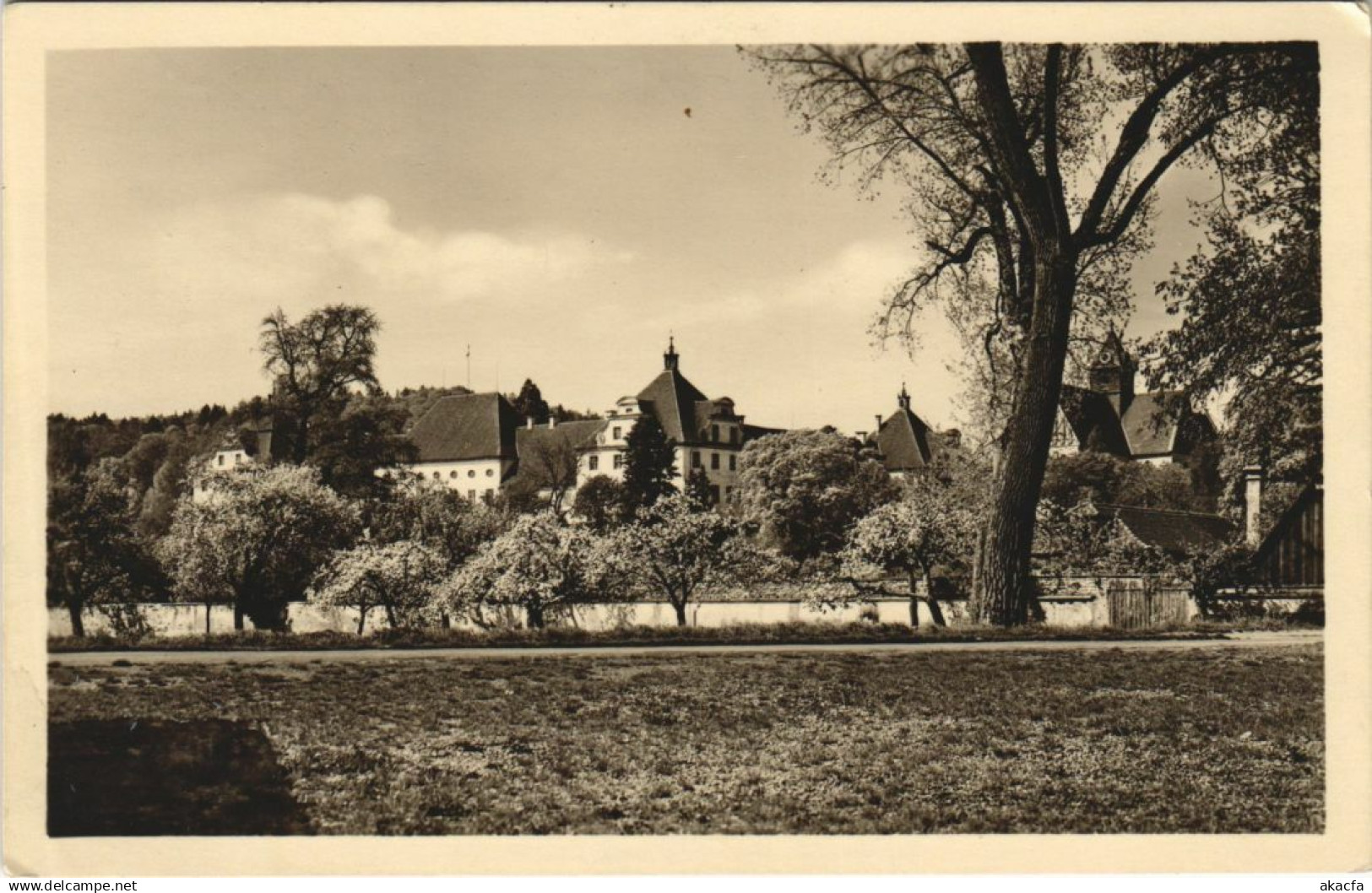 CPA Salem- GERMANY (1049447)