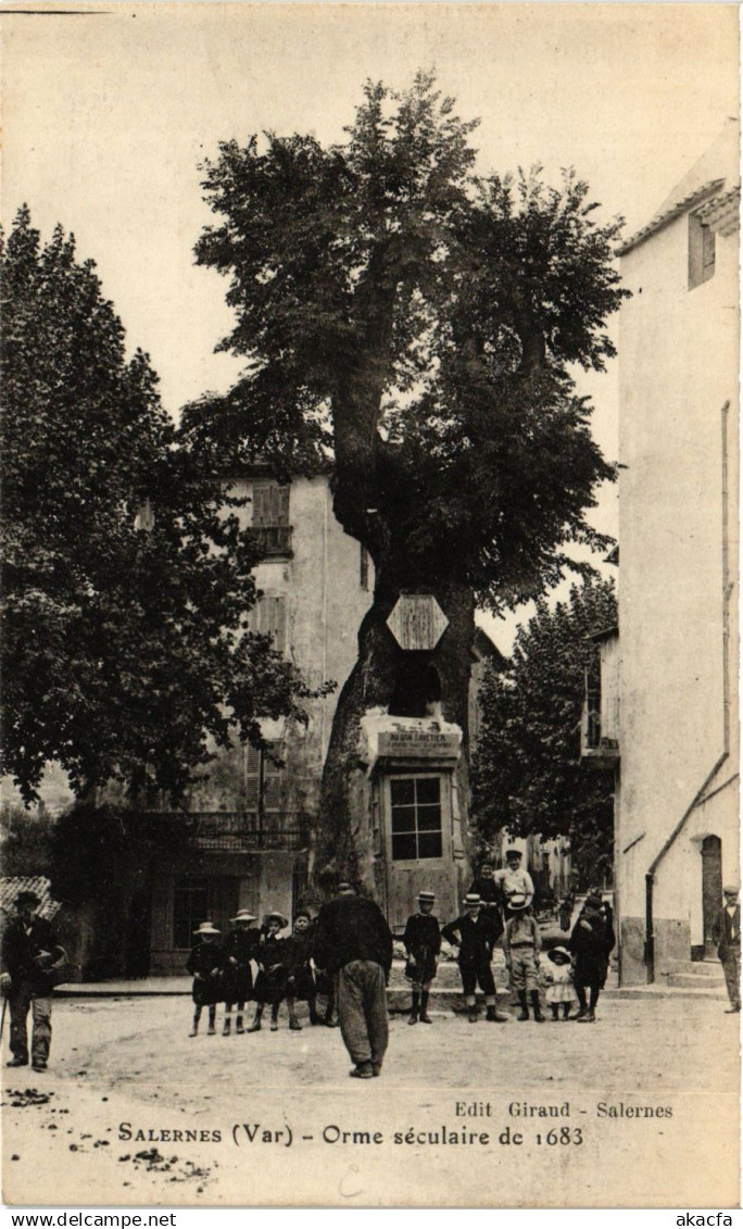 CPA SALERNES Orme séculaire de 1683 (411478)
