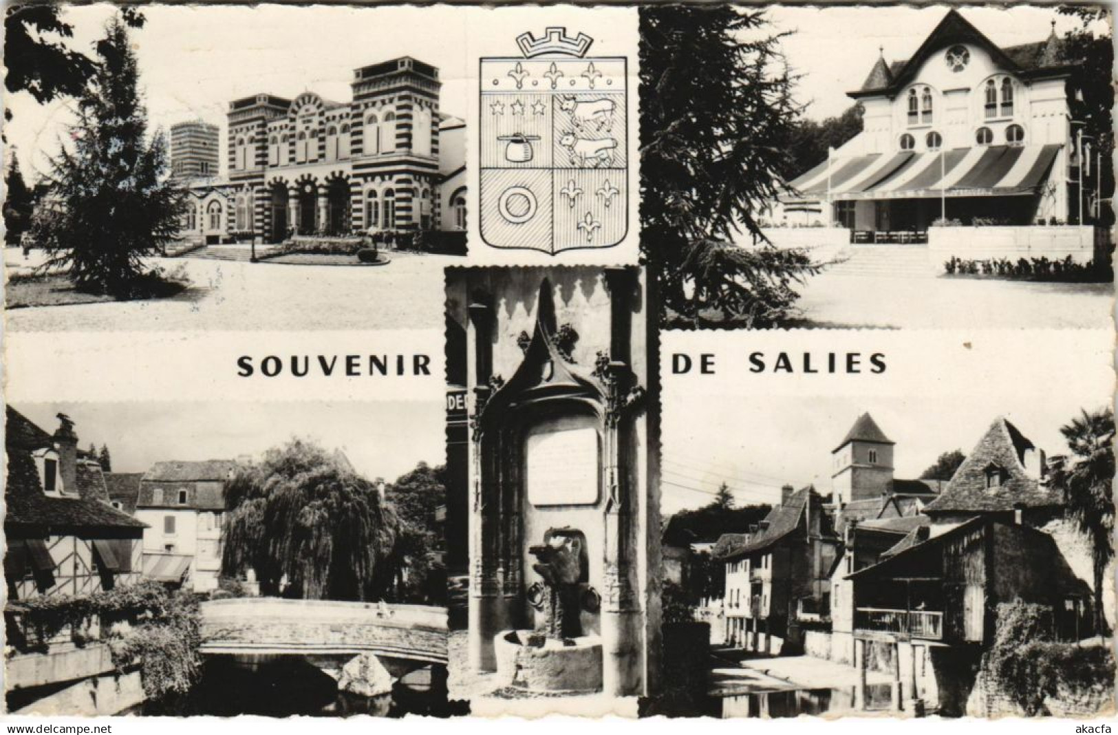 CPA Salies de Bearn Souvenir de Salies FRANCE (1131016)