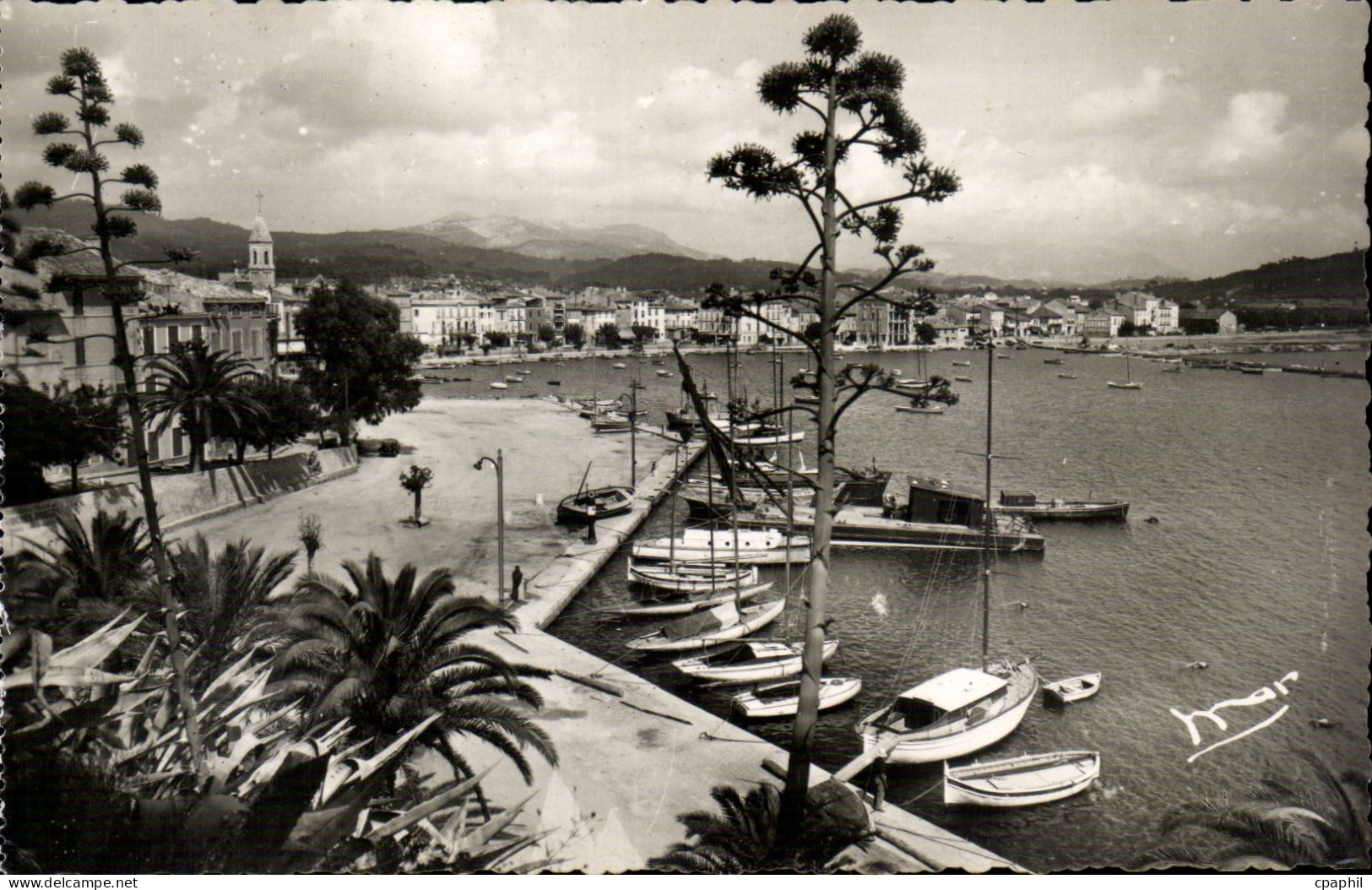 CPA Sanary sur Mer Vue d'ensemble