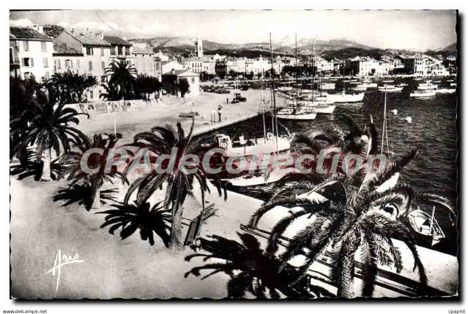 CPA Sanary Sur Mer Vue Generale