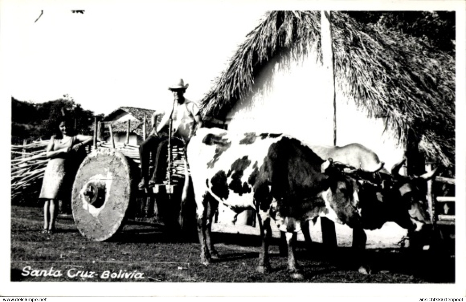 CPA Santa Cruz de la Sierra Bolivien, Bauern, Fuhrwerk, Kühe