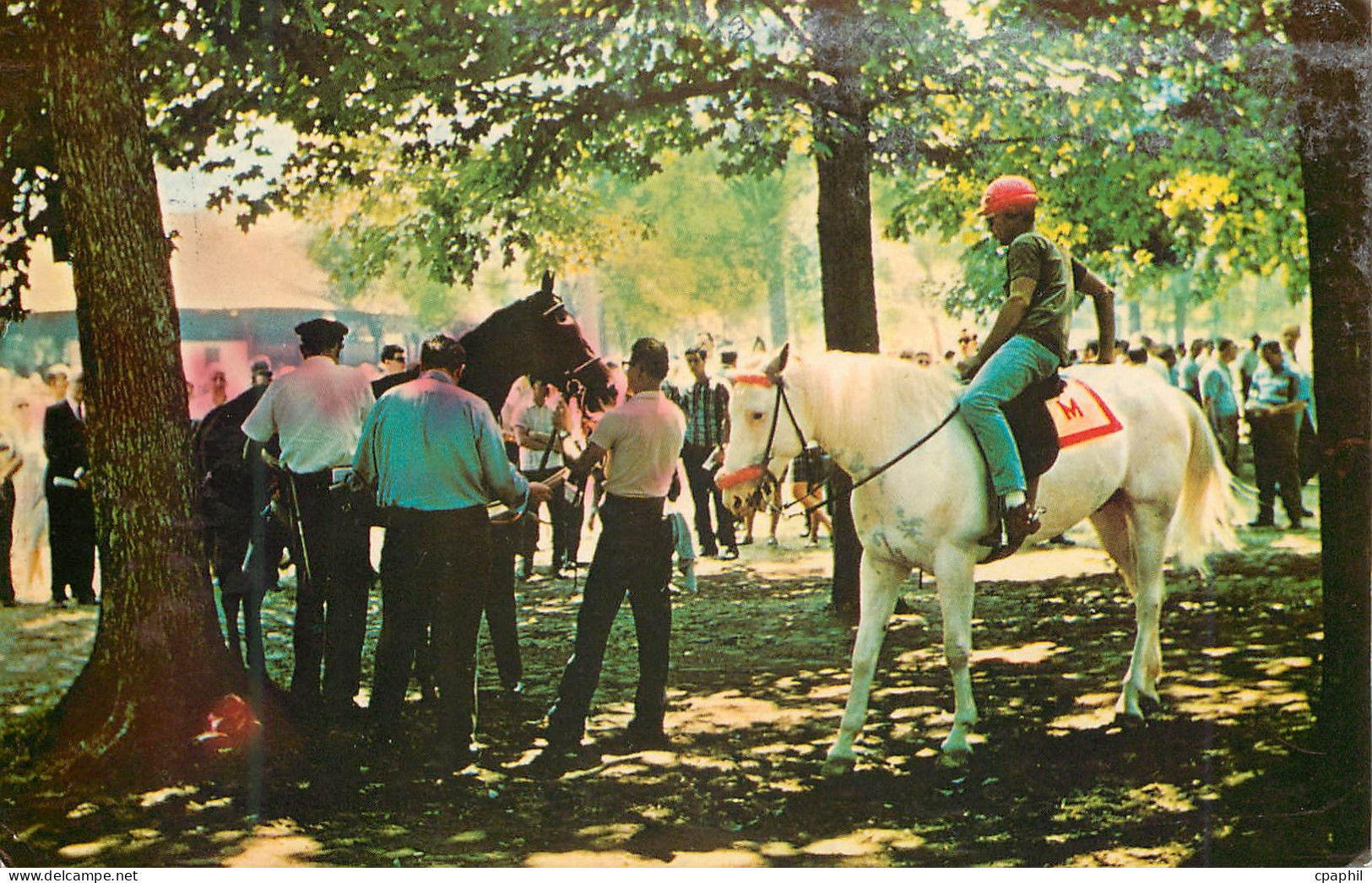 CPA Saratoga Cheval Hippisme