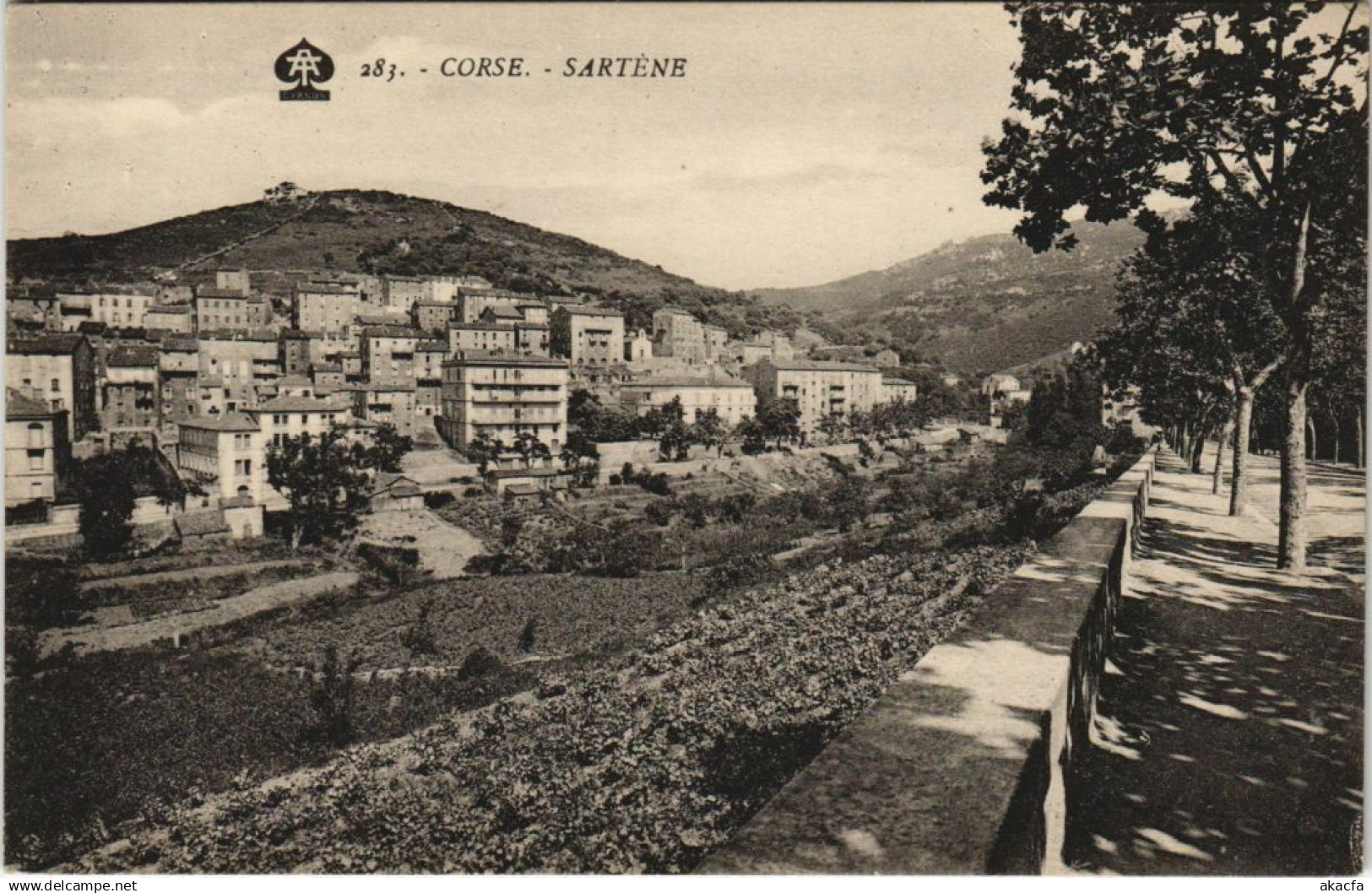CPA Sartene CORSICA (1078089)