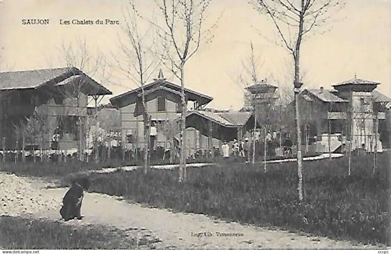 CPA Saujon Les Chalets du Parc