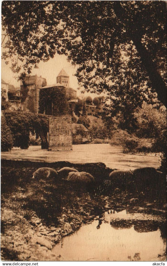 CPA Sauveterre de Bearn Chateau FRANCE (1130309)