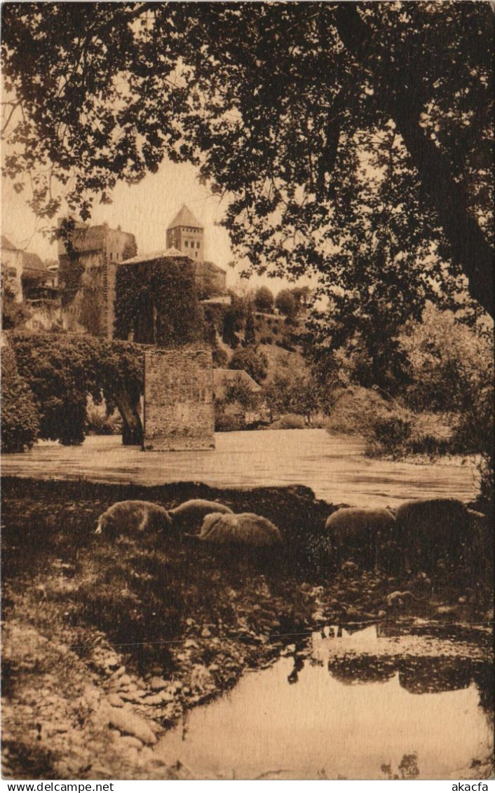 CPA Sauveterre de Bearn Chateau FRANCE (1131106)