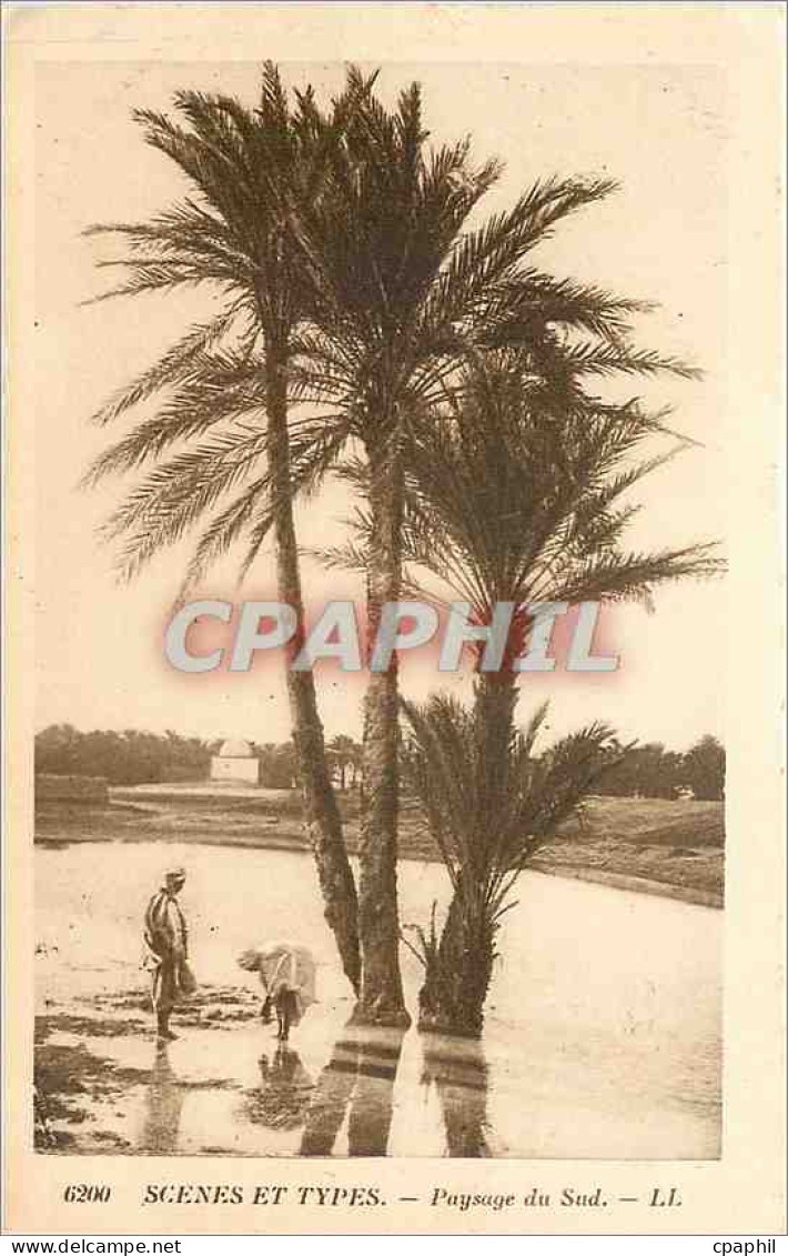 CPA Scenes et types paysage du sud