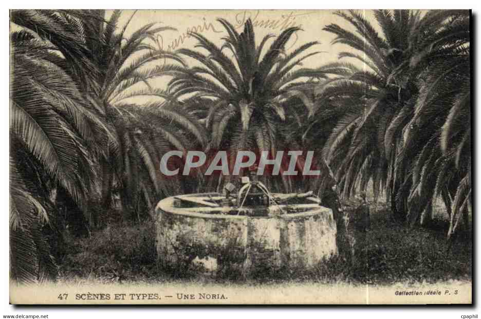 CPA Scenes Et Types Une Noria