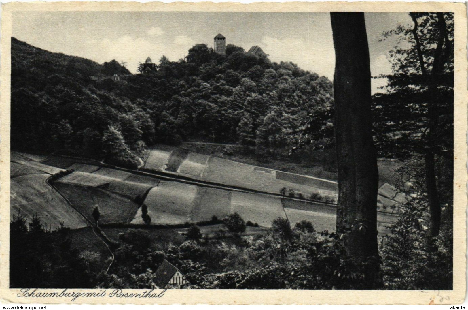 CPA SCHAUMBURG mit Rosenthal (865110)