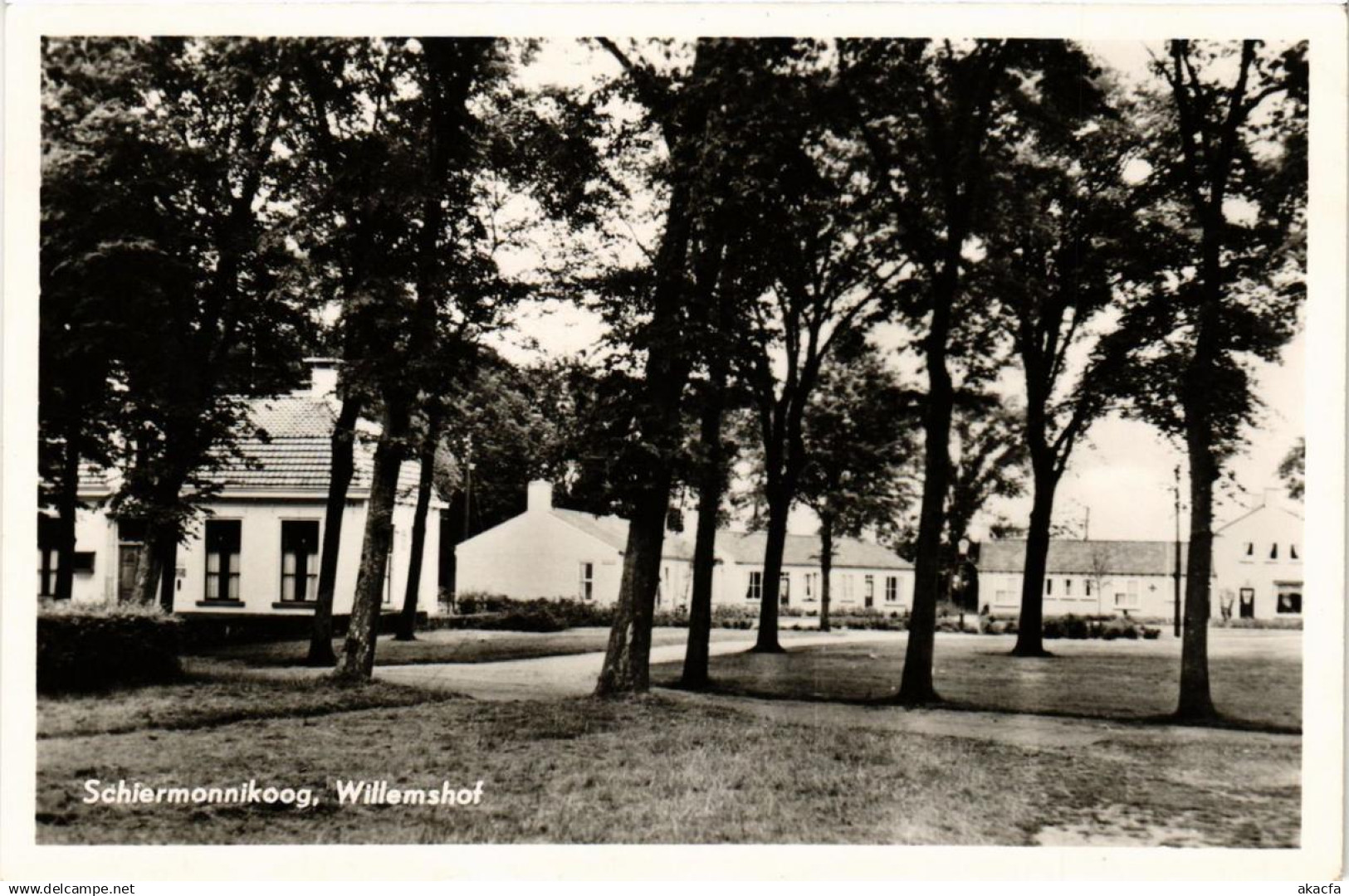 CPA Schiermonnikoog Willemshof NETHERLANDS (729073)