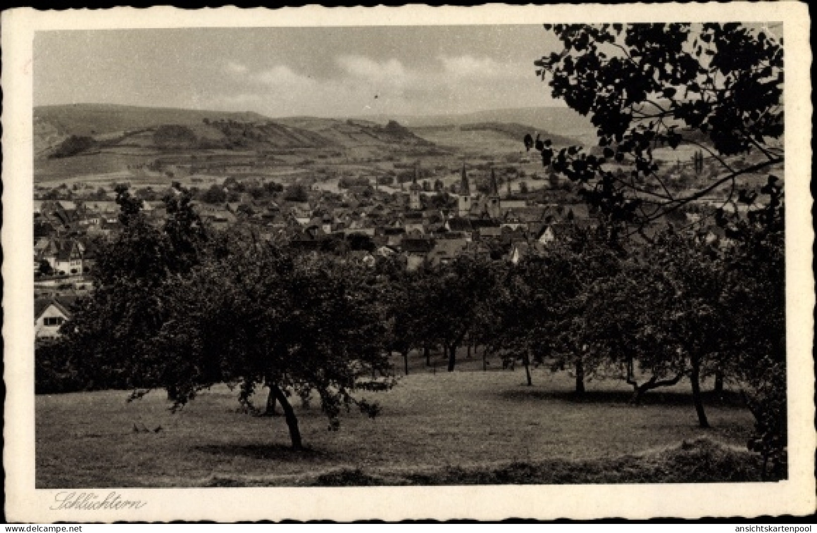 CPA Schlüchtern im Main Kinzig Kreis, Panorama des Ortes mit Obstbäumen