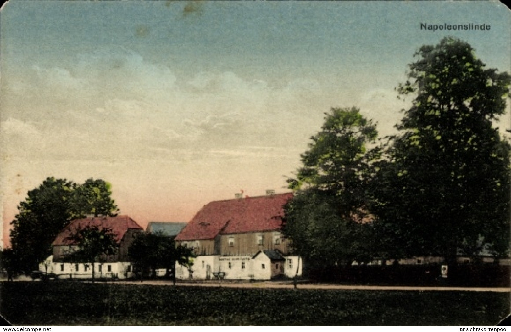 CPA Schmiedefeld Großharthau in Sachsen, Gasthof Zum Fuchs, Napoleonslinde