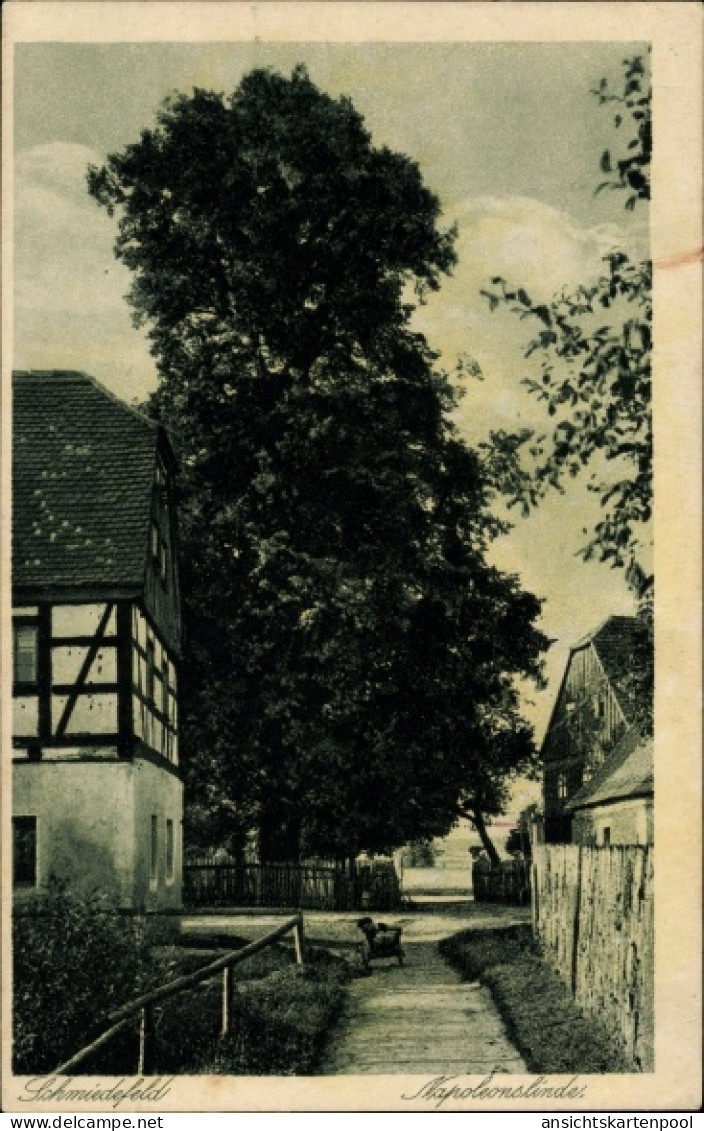 CPA Schmiedefeld Großharthau in Sachsen, Napoleonslinde
