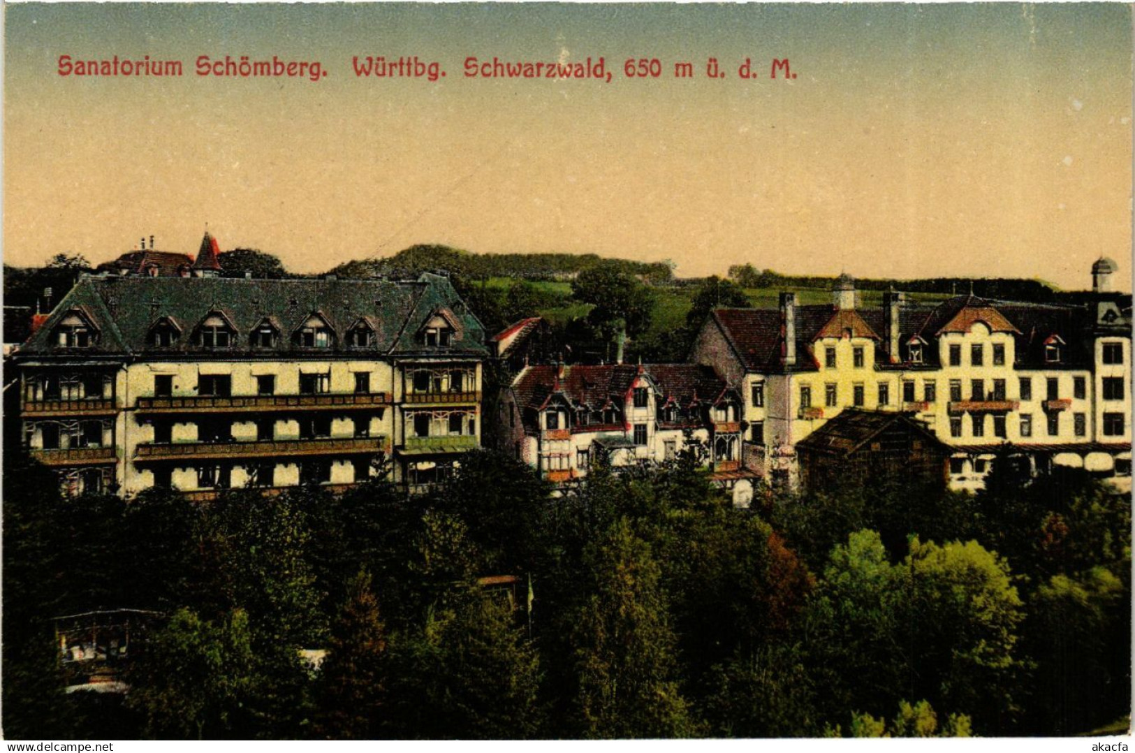 CPA Schomberg - Sanatorium Schomberg - Schwarzwald GERMANY (910412)