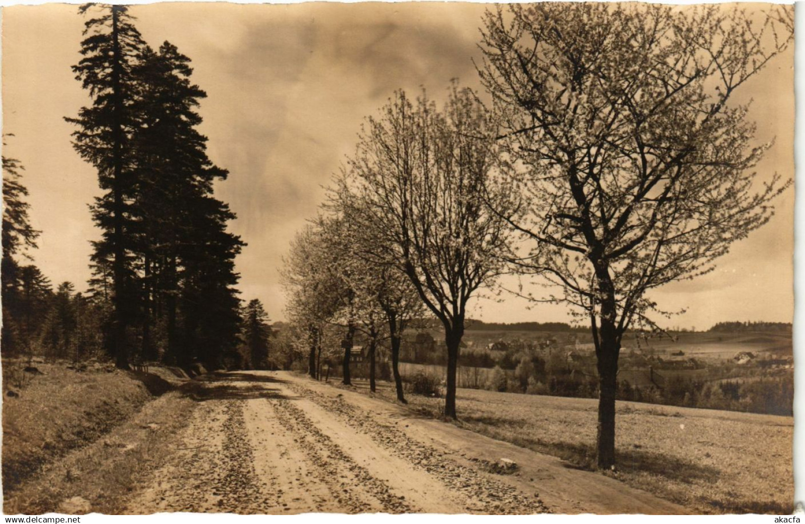 CPA Schomberg - Schomberg b. Wildbad - Road Scene GERMANY (910405)