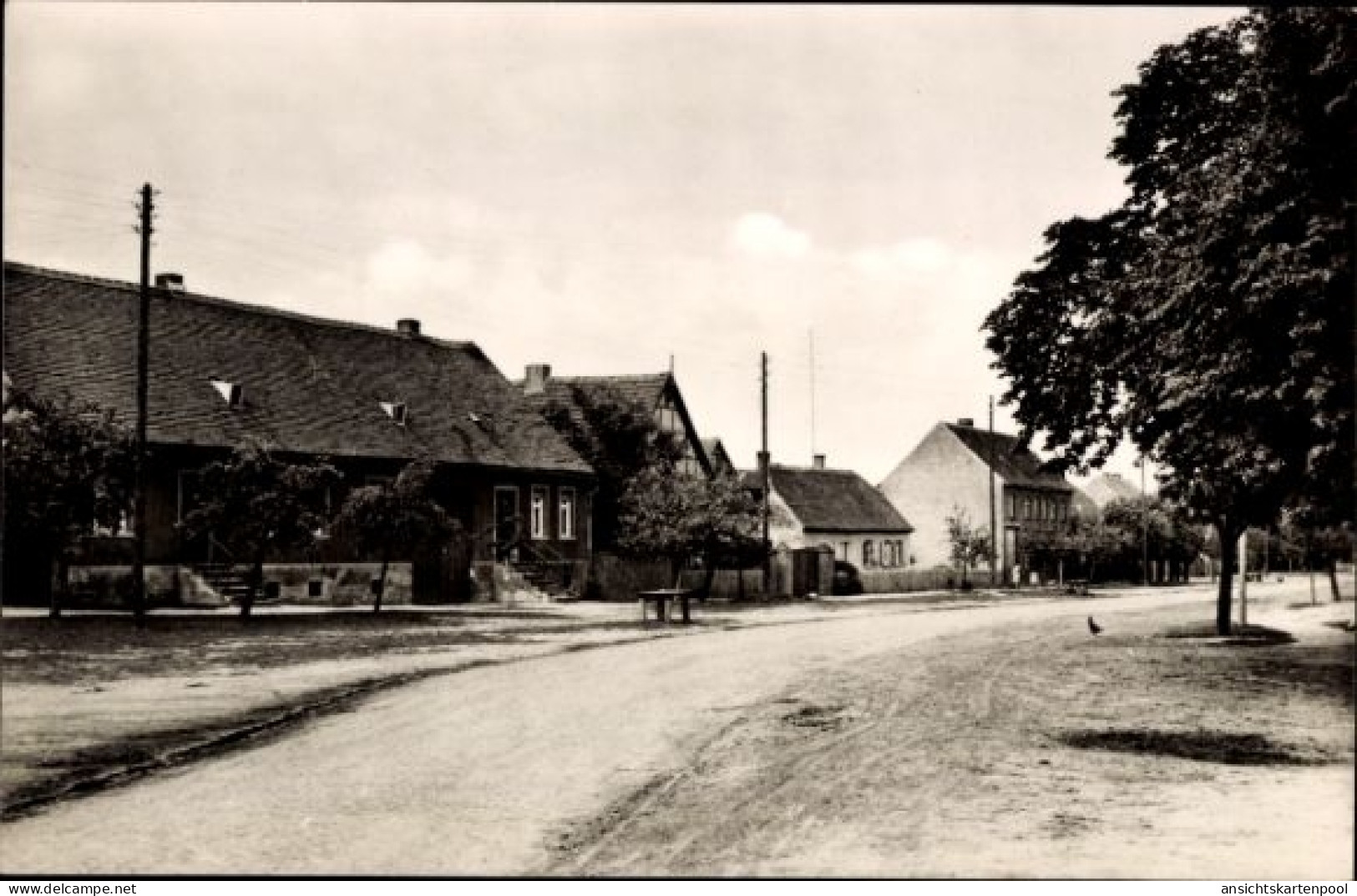 CPA Schönfeld in Saxe Anhalt, Dorfstraße